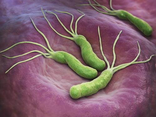 /public/cms/expertise/gastroenterologie-proktologie-atemtest-auf-duenndarmfehlbesiedelung-helicobacter-pylori.jpg